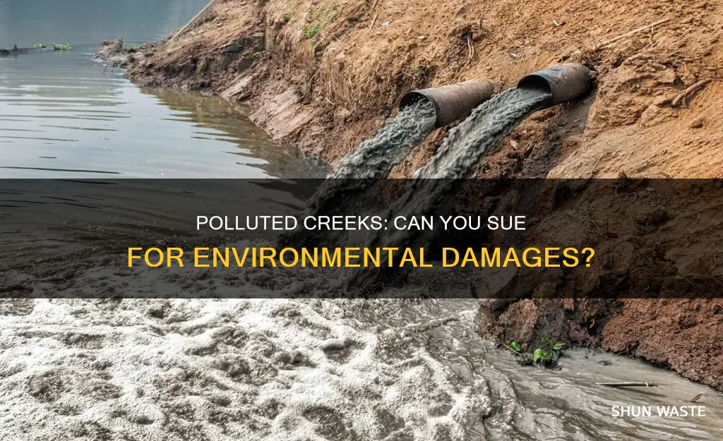 can you sue someone for polluting a creek