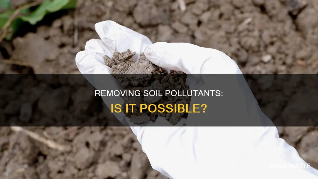 can you take out pollutants in soil