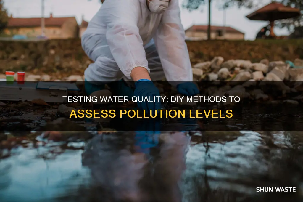 can you test how polluted water is