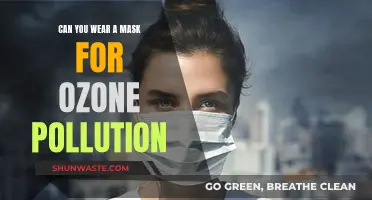 Masks for Ozone Pollution: Protection or Pointless?