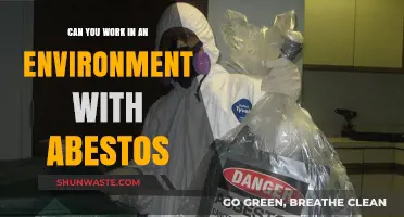 Working in Asbestos Environments: Risks, Safety, and Precautions Explained