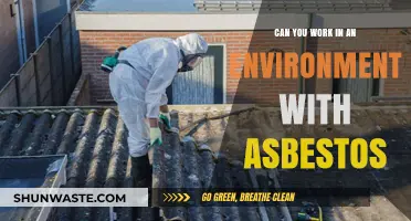 Working Safely in Asbestos-Contaminated Environments: Risks and Precautions