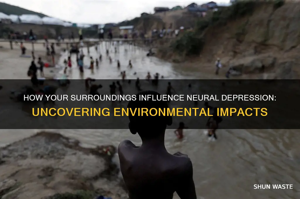 can your environment change your neural depression
