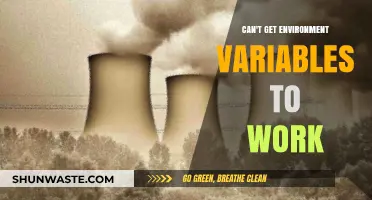 Troubleshooting Environment Variables: Common Issues and Quick Fixes Explained