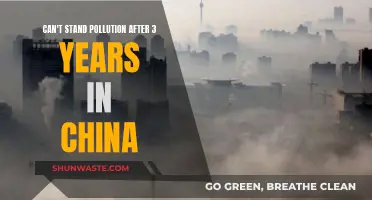 Pollution's Personal Impact: China Exile