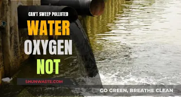 Polluted Water: Oxygen's Role in Cleaning It Up