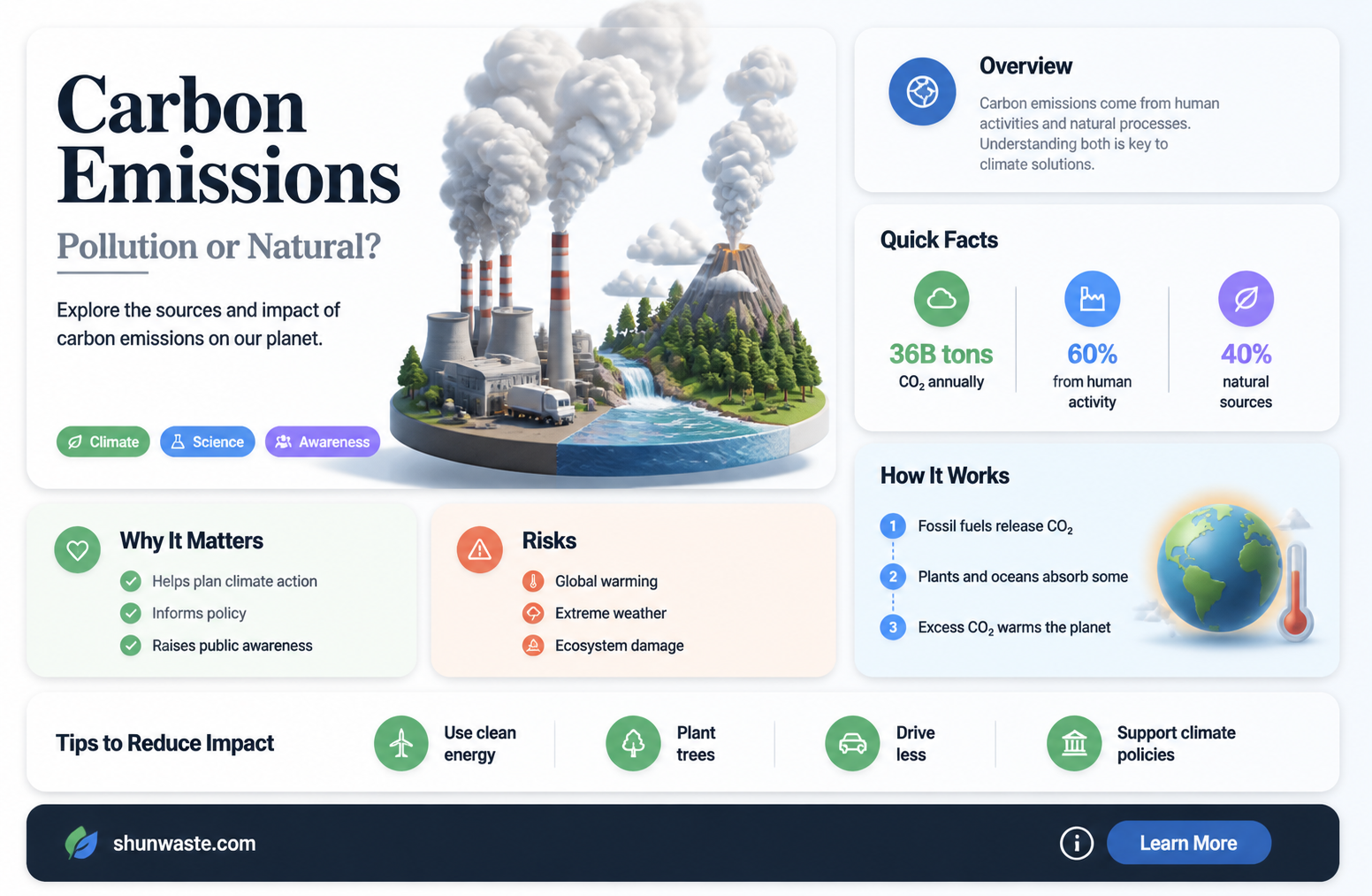 are carbon emissions pollution
