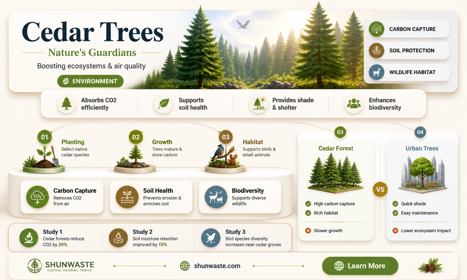 are cedar trees good for the environment