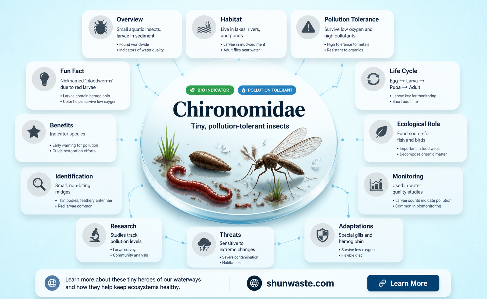 are chironomidae tolerant to pollution