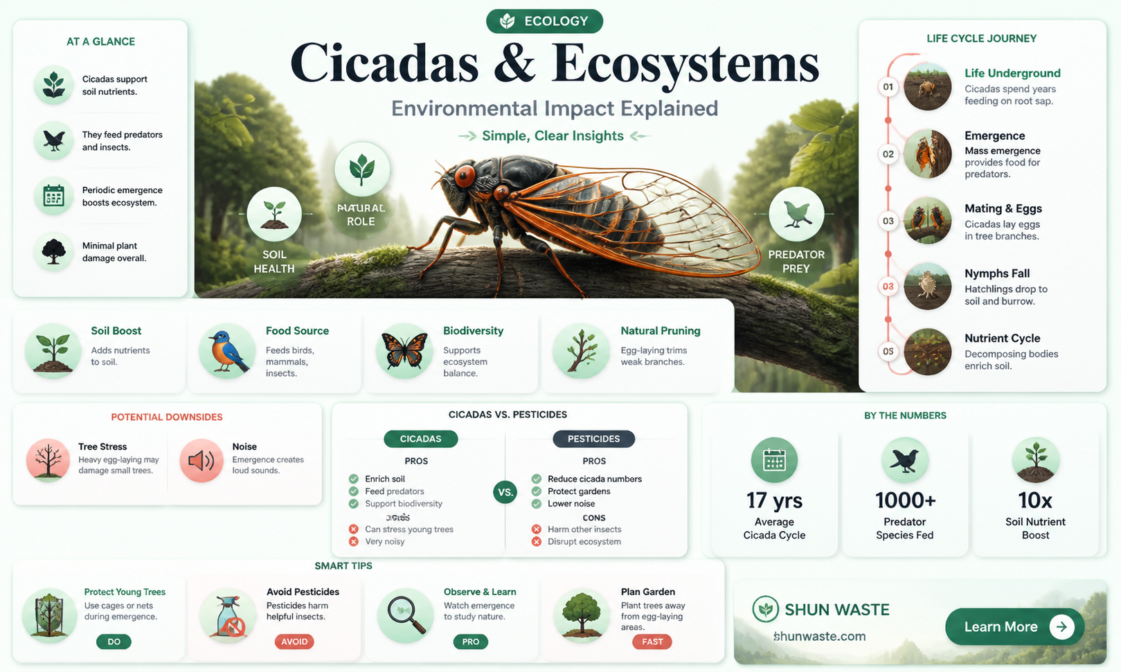 are cicadas bad for the environment