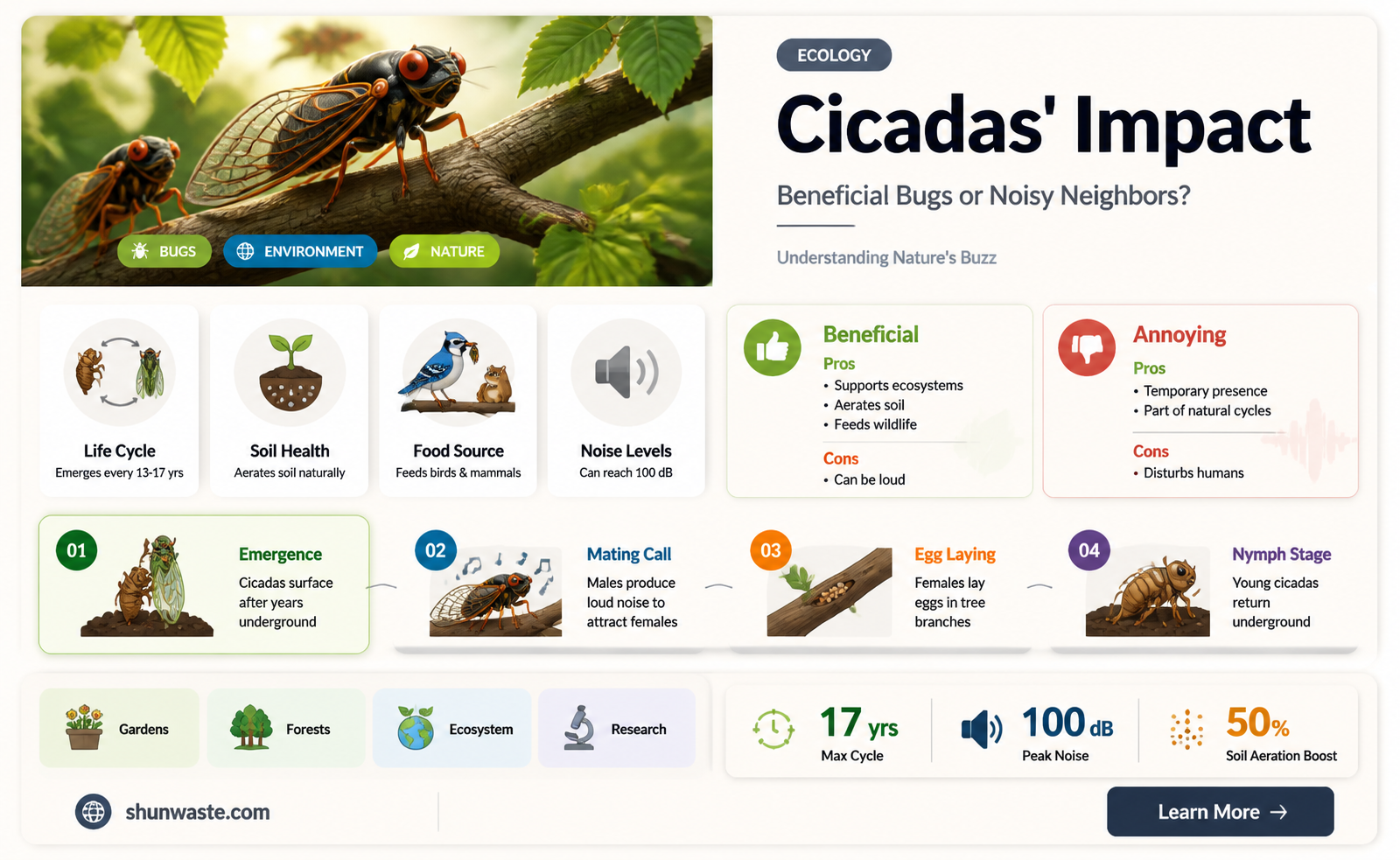 are cicadas good for the environment