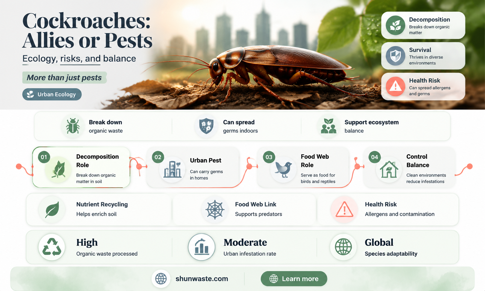 are roaches good for the environment