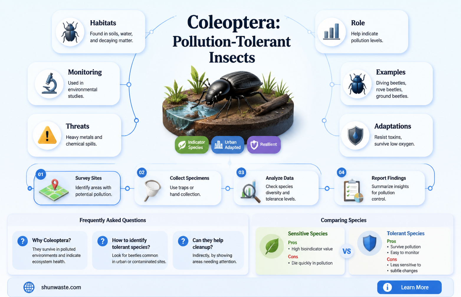 are coleoptera tolerant to pollution