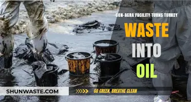 Con-Agra's Green Innovation: Transforming Turkey Waste into Sustainable Oil