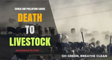 Air Pollution's Lethal Impact on Livestock: A Growing Concern