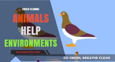 Cloning Animals: A Potential Solution for Environmental Restoration?