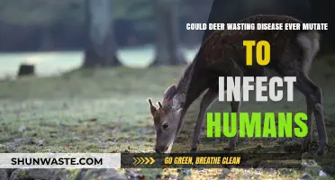 Deer Wasting Disease: Potential Human Mutation Risk Explored