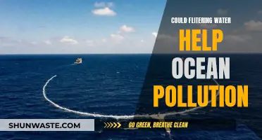 Could Filtering Water Be the Key to Ocean Cleanup?