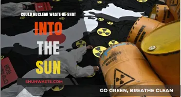 Shooting Nuclear Waste into the Sun: Feasible Solution or Cosmic Folly?