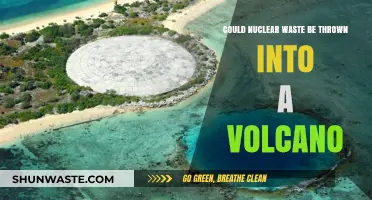 Volcanic Disposal: Could Nuclear Waste Be Safely Eradicated in Lava?