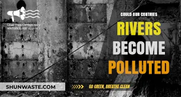 Rivers at Risk: Pollution's Creeping Threat