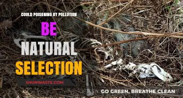Pollution Poisoning: Nature's Culling Hand?