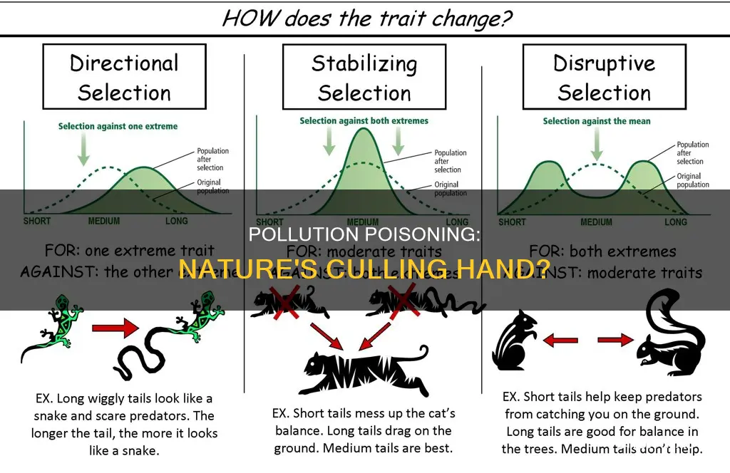 could poisoning by pollution be natural selection