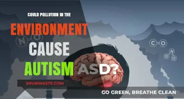 Unveiling the Link: Pollution's Impact on Autism Risk