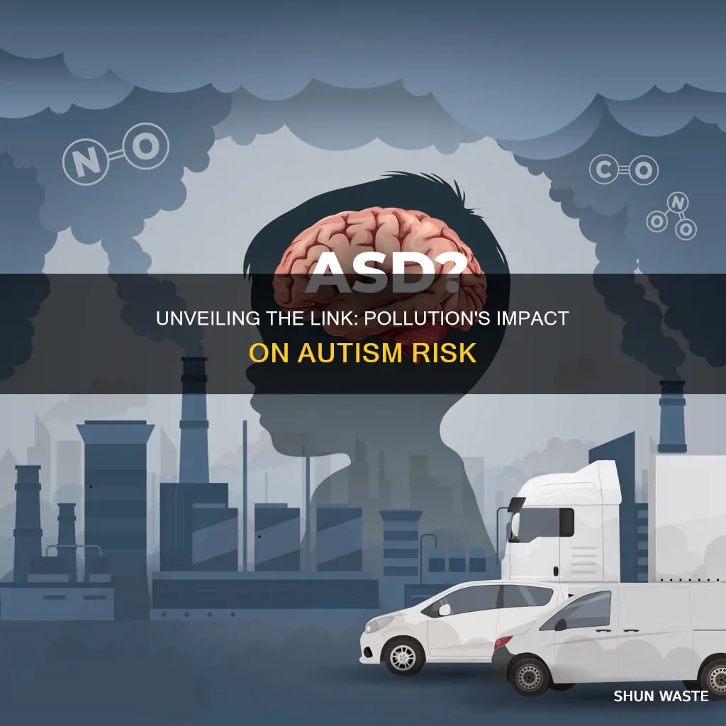 could pollution in the environment cause autism