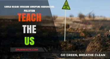 Lessons from Europe: Radioactive Pollution and the US