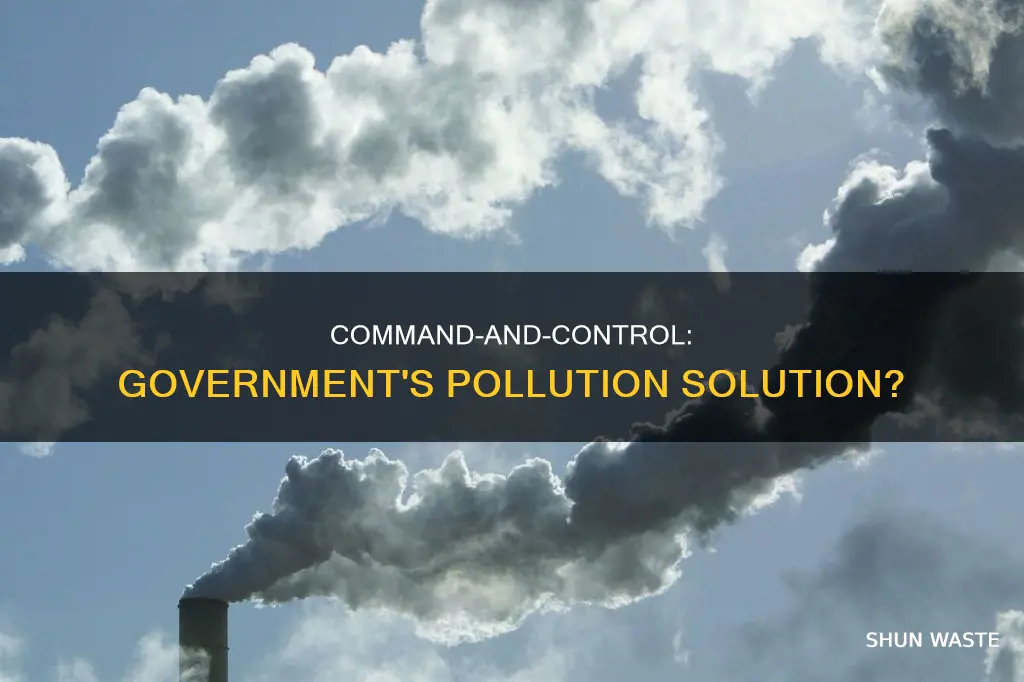 could the government use a command-and-control approach to reduce pollution