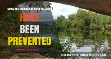 Shenandoah River Pollution: Preventable Tragedy?