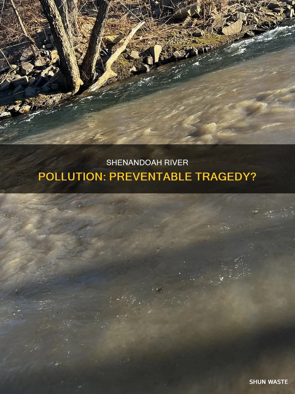 could the shenandoah river pollution have been prevented