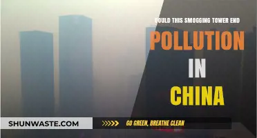 Smog-Sucking Tower: China's Pollution Solution?