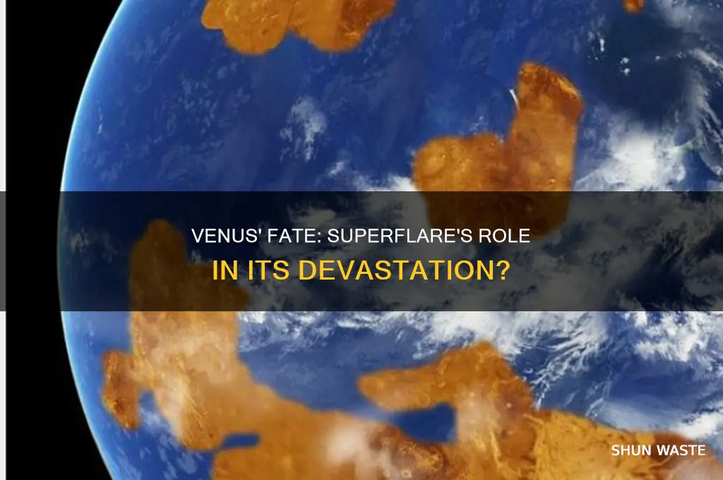could venus have been laid waste by a superflare