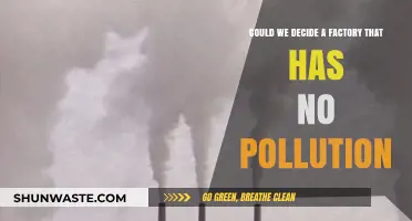 Green Factories: Pollution-Free Dream or Reality?