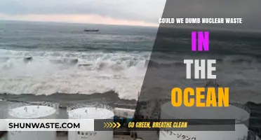 Ocean Disposal of Nuclear Waste: Risks, Ethics, and Alternatives Explored
