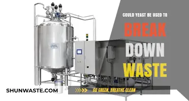 Harnessing Yeast Power: A Sustainable Solution for Waste Breakdown?