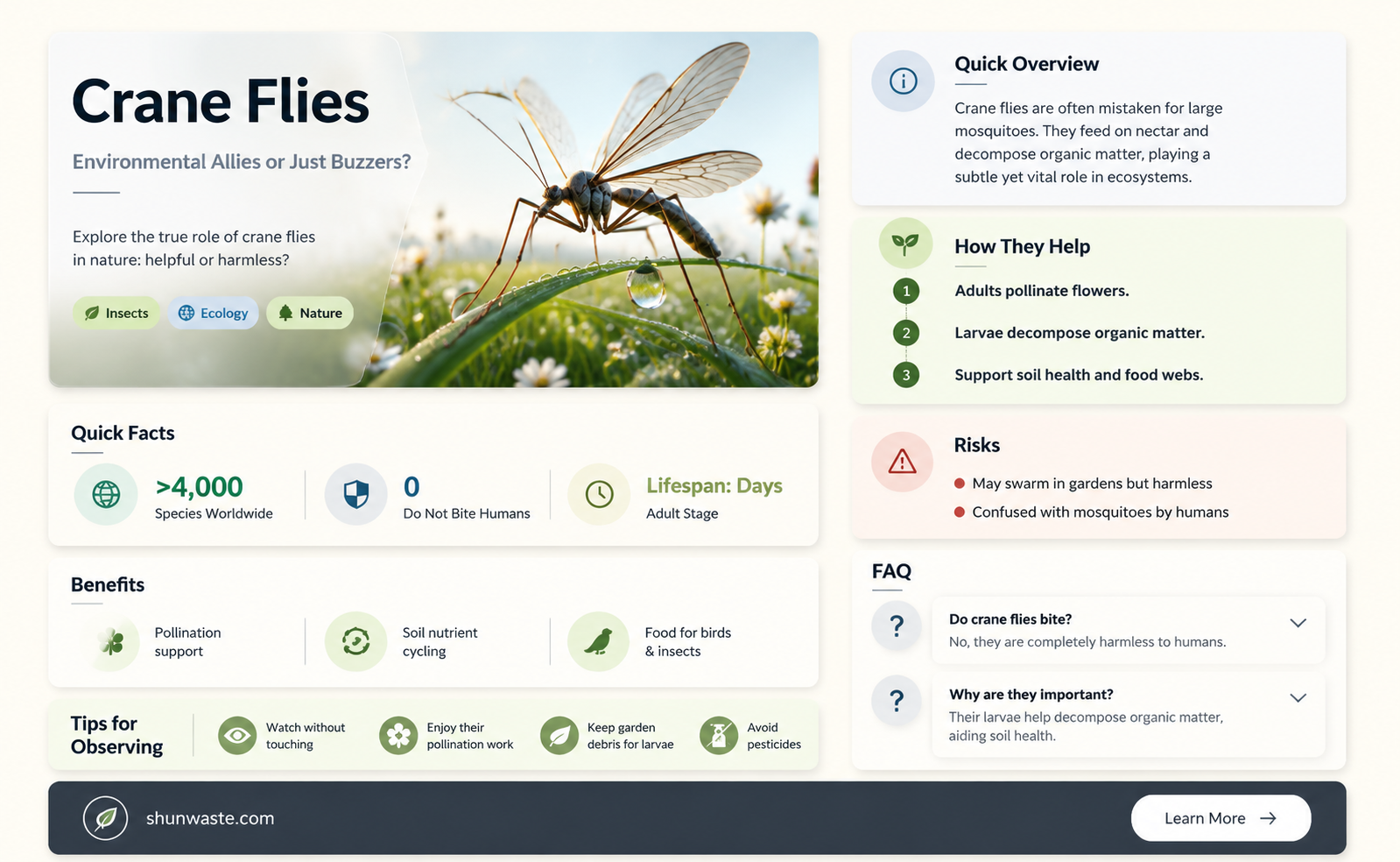 are crane flies good for the environment