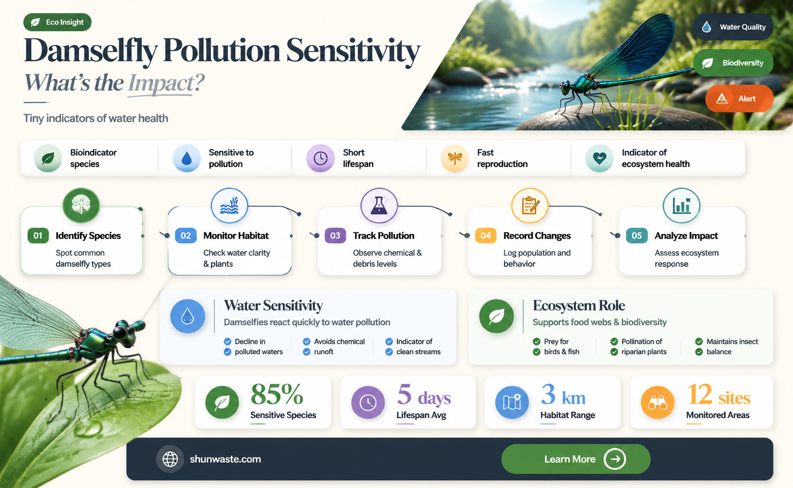 are damselfly sensitive to pollution