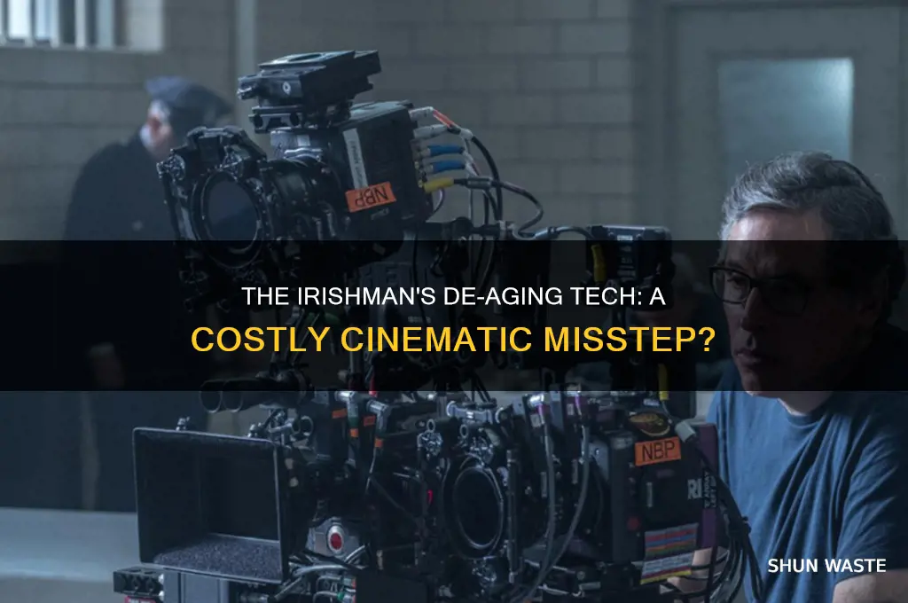 de-aging in the irishman was a waste of money