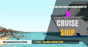 Airplane Bathroom Waste Incident: Did It Hit a Cruise Ship?