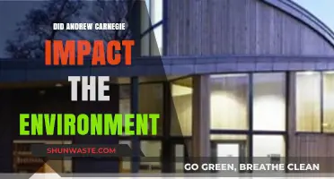 Andrew Carnegie's Industrial Legacy: Environmental Impact and Consequences