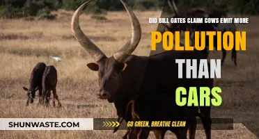 Bill Gates' Claim: Cows vs Cars Pollution