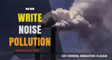 Bon's Creative Influence on 'Noise Pollution