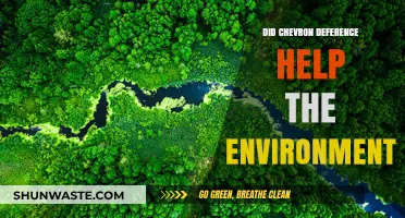 Chevron Deference: Environmental Ally or Regulatory Obstacle?