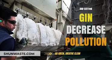 How Cotton Gin Technology Reduced Pollution