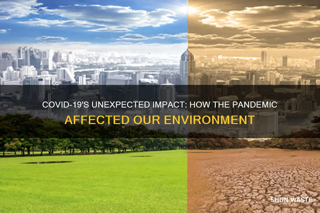did covid 19 help the environment