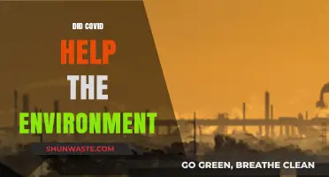 COVID's Silver Lining: How the Pandemic Impacted Our Environment