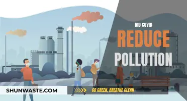 Pandemic's Impact: Pollution Reduction Amidst Global Health Crisis